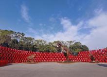 HAKKA 客家农场23