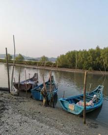 盐洲岛17