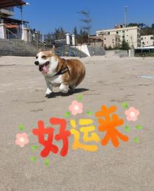 盐洲岛7