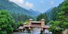 姑婆山4