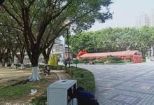 威远公园7