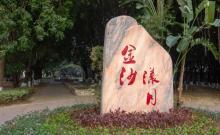 石龙金沙公园8
