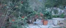 山也双溪自然生态文化艺术康养基地1