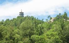 科山森林公园3