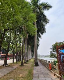 南山文化生态园2