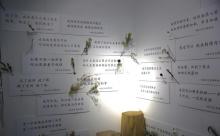 星空失恋博物馆2