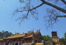 梵天寺9