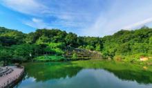 金光湖1