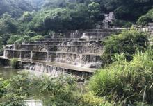 金光湖19