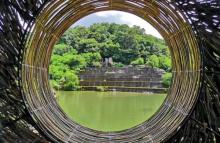 金光湖4