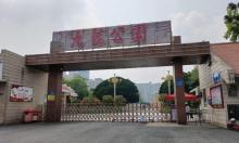 九龙公园1