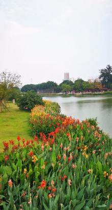 南山桥8