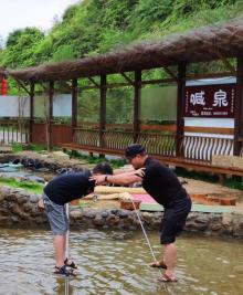 屏山生态茶园23