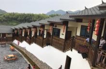 屏山生态茶园28