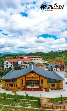 屏山生态茶园18