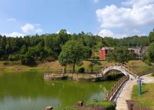 德化唐寨山森林公园1