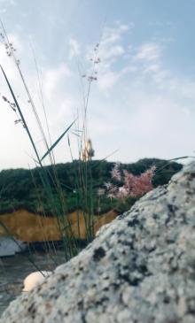 大坪山6