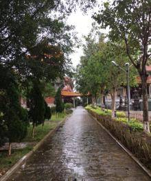 仙游龙华寺7