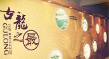 古龙酱文化园3