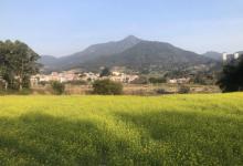 长泰山重村3