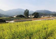 长泰山重村5