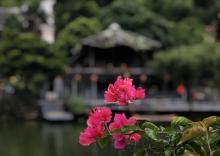 长泰古山重24