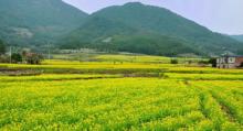 长泰古山重26