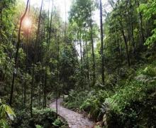 牛姆林生态旅游区15