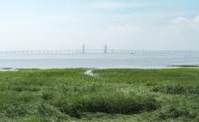 滨海公园1