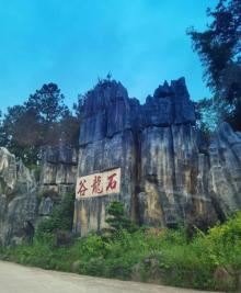 石龙谷森林游乐园22