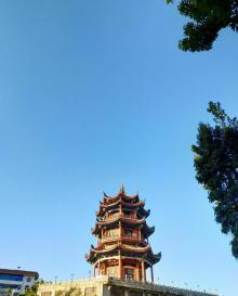 威镇阁8