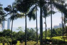 鸿山公园11