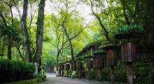 龙岩东肖森林公园13