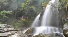 龙岩东肖森林公园14