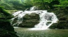 龙岩东肖森林公园4