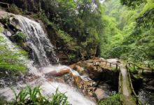 龙岩东肖森林公园18