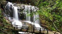 龙岩东肖森林公园7