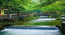 龙岩东肖森林公园15