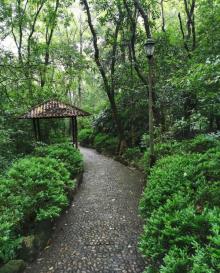 龙岩东肖森林公园26