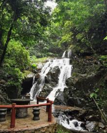 龙岩东肖森林公园21