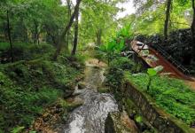龙岩东肖森林公园23