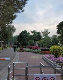 忠仑公园25
