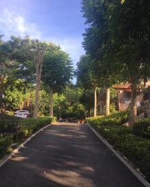 忠仑公园28