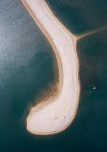 触角沙滩1