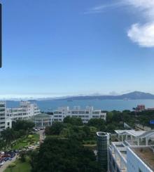 珍珠湾16