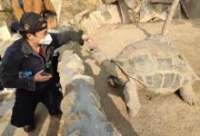 中非世野野生动物园10