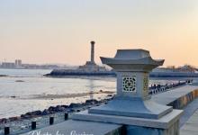 嘉庚公园13