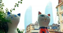 顶澳仔猫街24