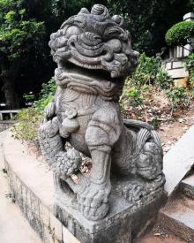 西湖公园11