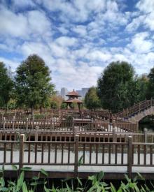 五缘湾湿地公园21